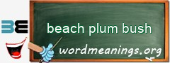 WordMeaning blackboard for beach plum bush